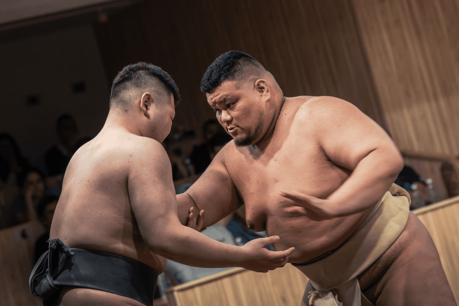Shinjuku Sumo Show with Drink and Photo (English MC)