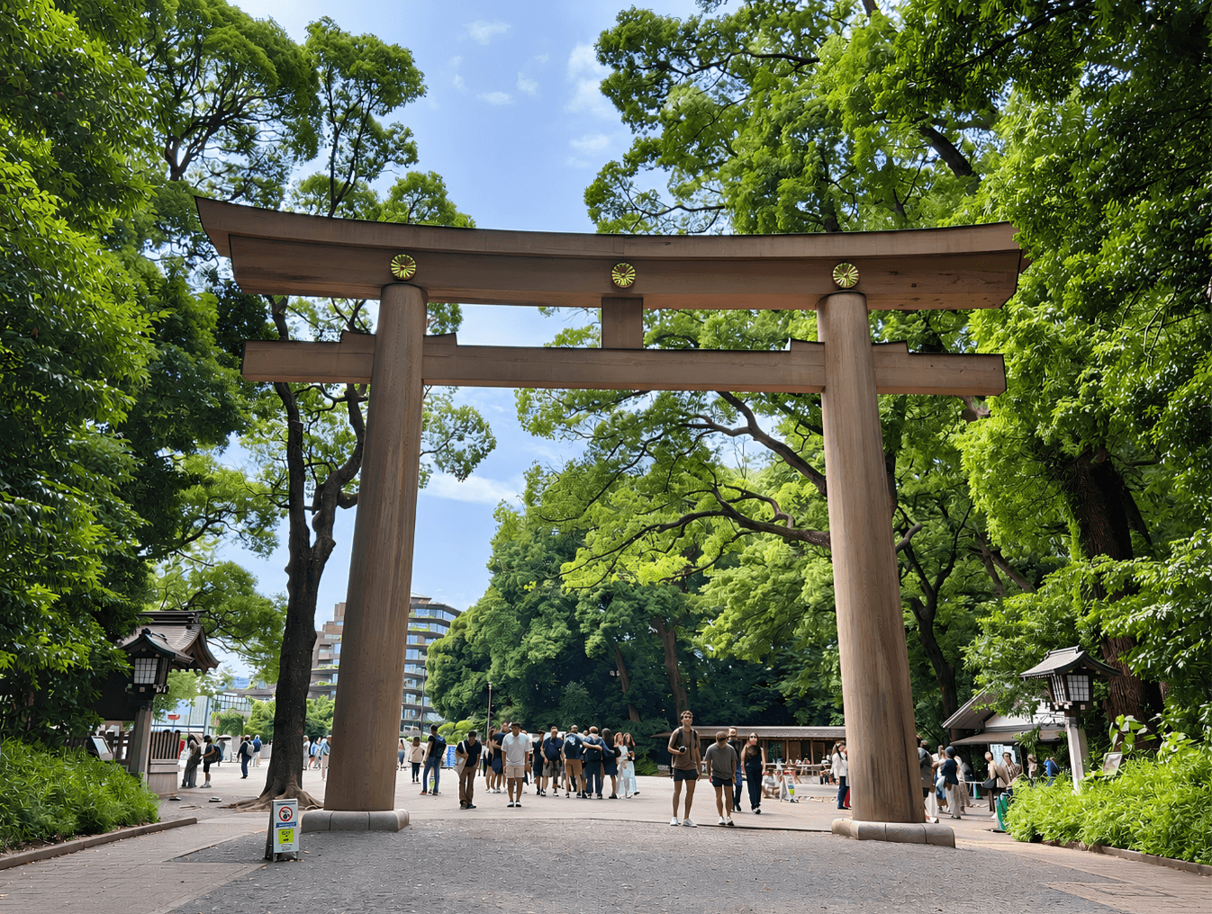 Meiji Jingu Shrine and Shinto Culture Walking Tour