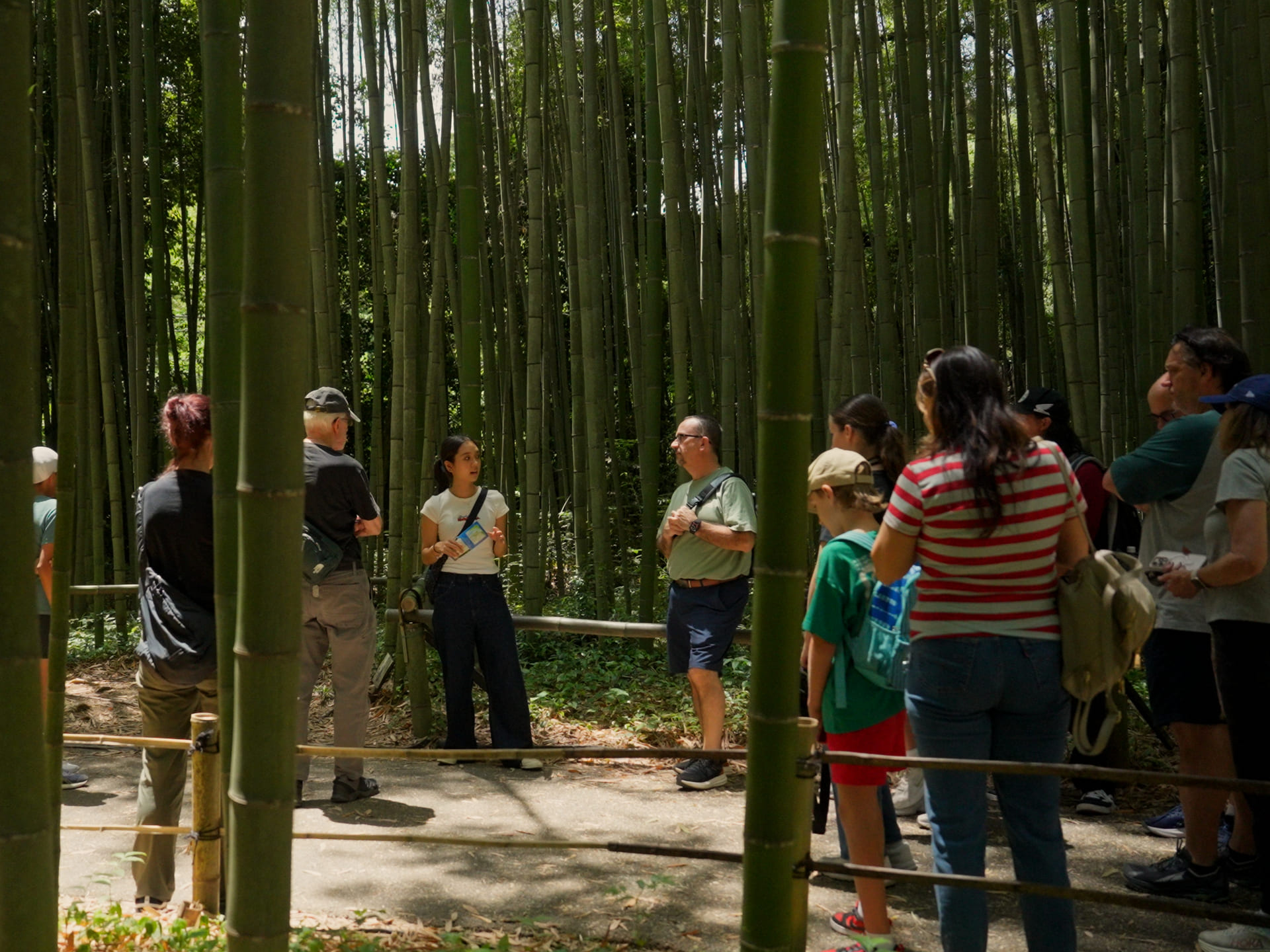 Explore Kyoto's historic streets with your guide